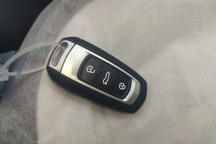 Used  Panda 2025 210 km – Yuanqi Bear
