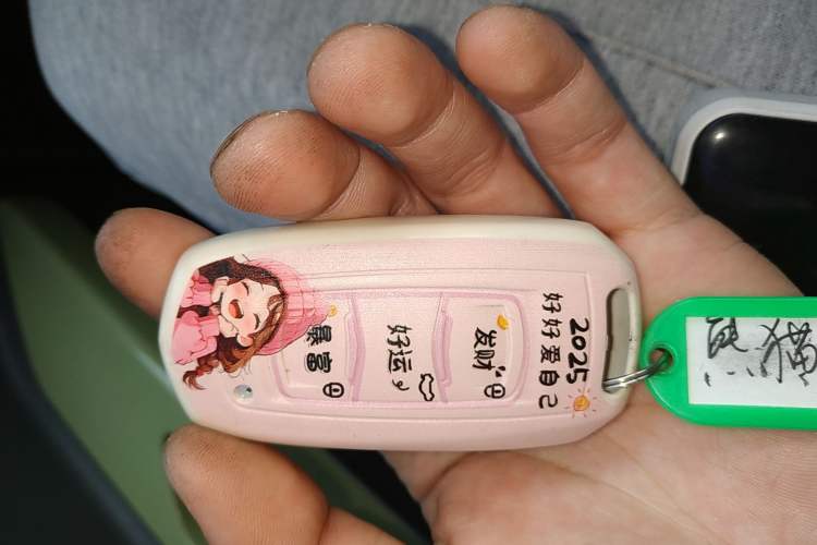 Used  Panda 2023 Panda Mini 200km Endurance Bear
