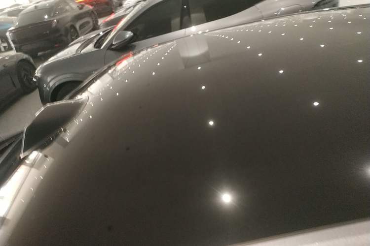 Used  07 2024 Max Extended-Range Edition