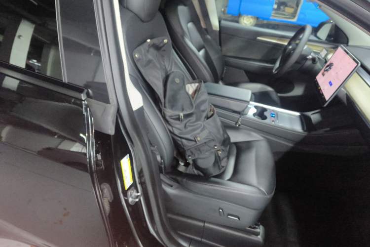 Used Tesla Model Y 2021 Performance High-Performance All-Wheel-Drive Version
