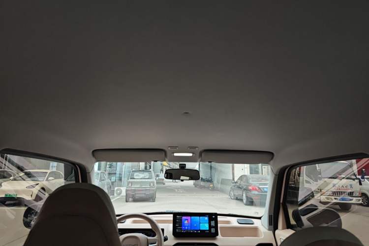 Used  Panda 2024 Panda Mini 200km Endurance Bear