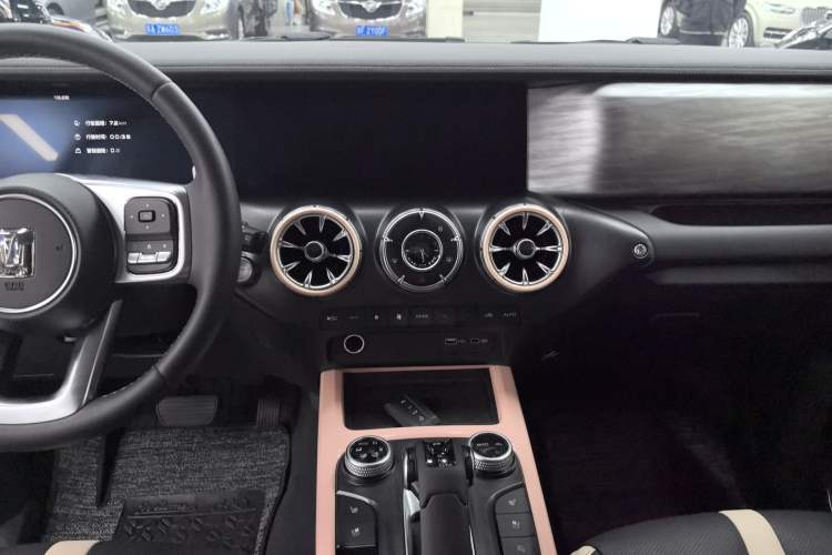 Used Tank 300 2023 City Edition 2.0T—Stylish as Ever
