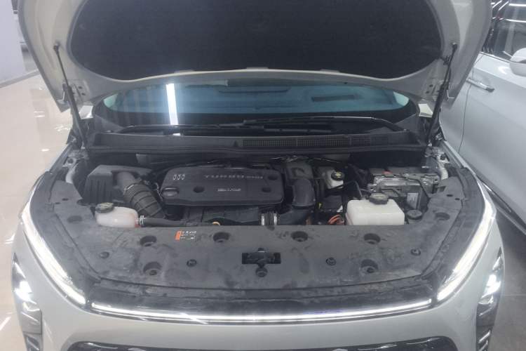 Used Buick GL8 New Energy 2024 Lu Zun Luxury Edition 7-Seater
