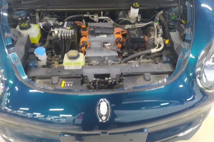 Used ORA Good Cat 2023 401 km Standard Range Luxury Version Lithium Iron Phosphate
