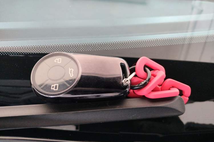 Used ORA Good Cat 2023 401 km Standard Range Luxury Version Lithium Iron Phosphate