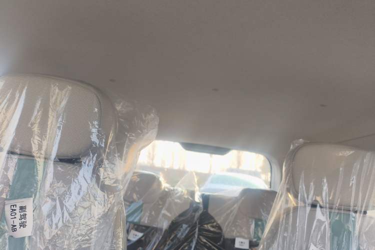 Used  Lumin 2025 205 km Xiangqin Version
