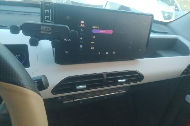 Used  Panda 2024 200km Panda Rider
