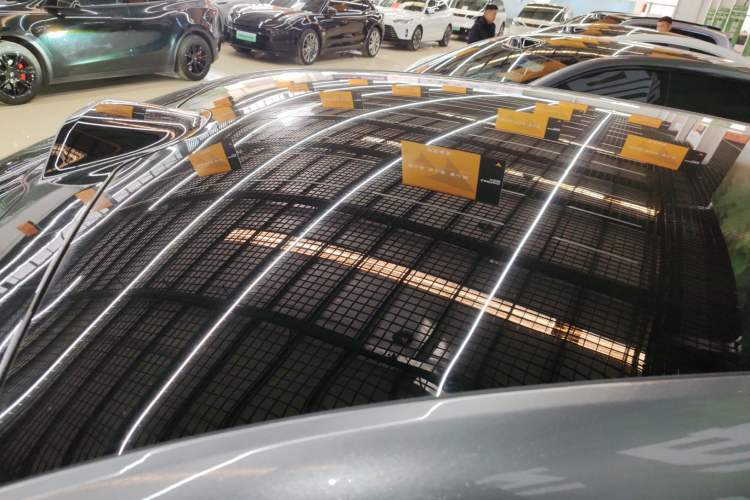 Used  07 2024 Max Extended-Range Edition
