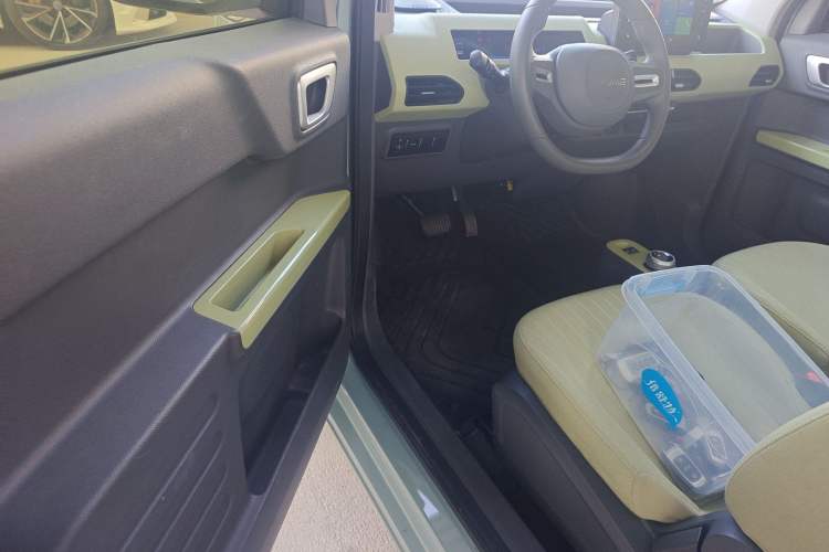 Used  Panda 2024 Panda Mini 200km Endurance Bear
