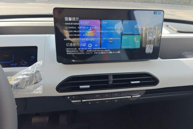 Used  Panda 2024 Panda Mini 200km Endurance Bear