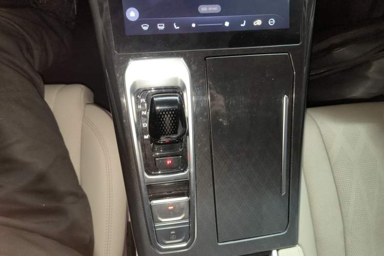 Used Wey Mocha 2021 2.0T Two-Wheel-Drive Ultra-Strong Version
