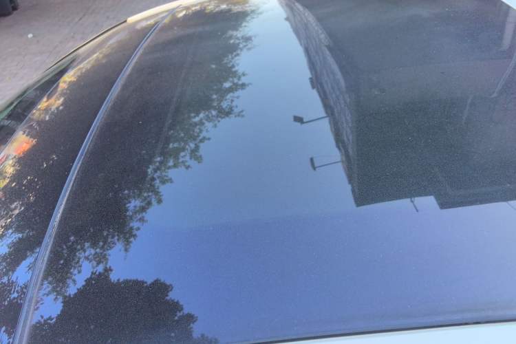 Used Ford Focus 2019 Two-Door EcoBoost 125 Automatic Trendy Model China V Standard