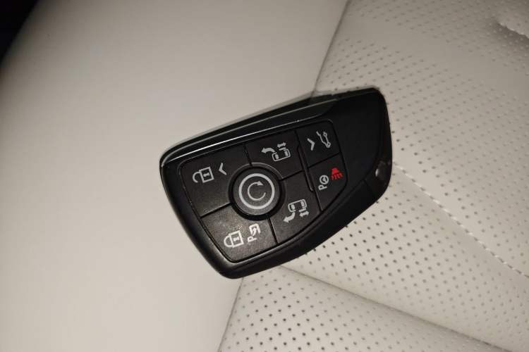 Used Buick GL8 New Energy 2024 Lu Zun Luxury Edition 6-Seater
