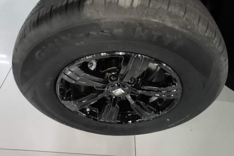 Used Tank 300 2025 2.0T Challenger
