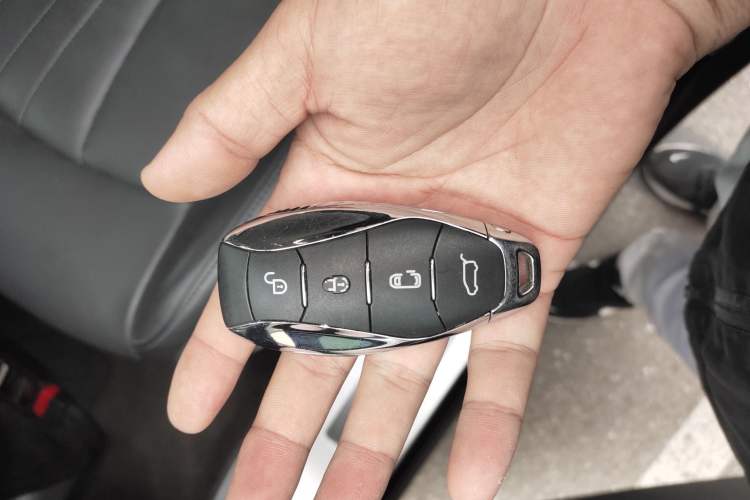 Used Hongqi HQ9 PHEV 2024 2.0T Four-Wheel Drive Luxury Edition
