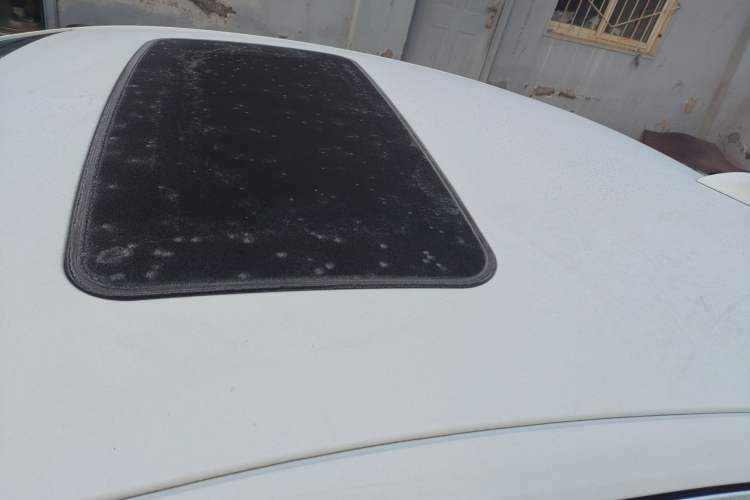 Used Buick Regal 2019 20T Elite Version China V Standard