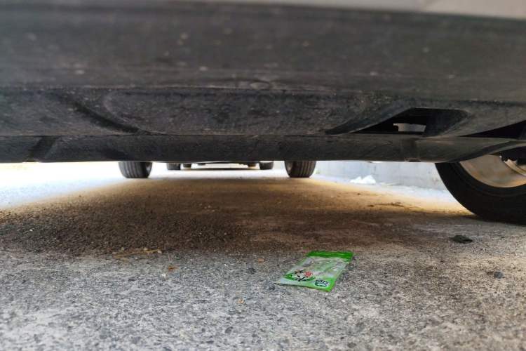 Used Volkswagen T-ROC 2022 280TSI DSG Two-Wheel Drive Comfort PLUS
