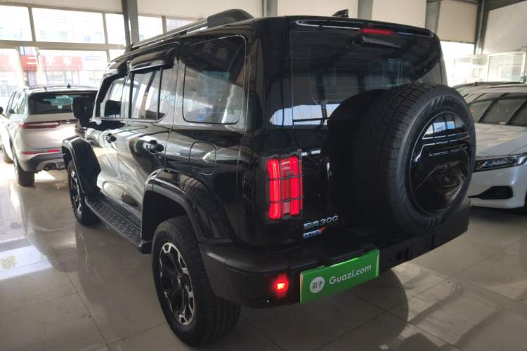 Used Tank 300 New Energy 2024 Hi4-T
