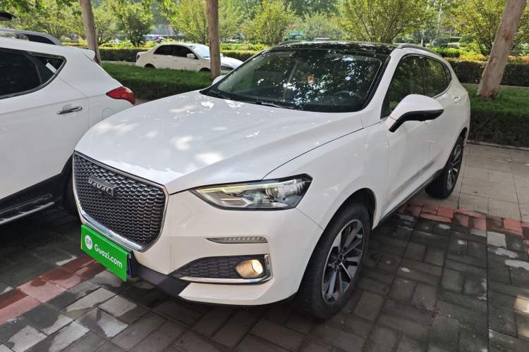 Used Haval F5 2019 National Trend Edition 1.5T i-Trend China VI Standard
