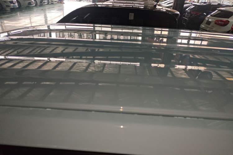 Used  Panda 2023 Panda Mini 200km Endurance Bear