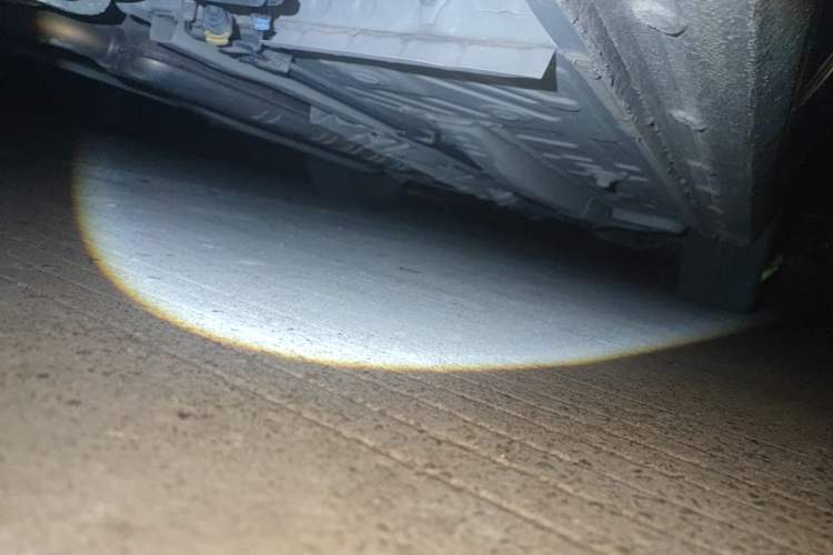 Used Buick GL6 2021 323T Mild Hybrid Connect Luxury Model