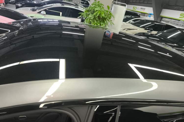 Used  07 2024 Max Extended-Range Edition
