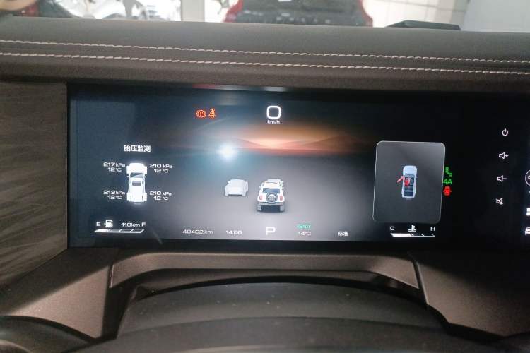 Used Tank 300 2024 2.0T Crosser
