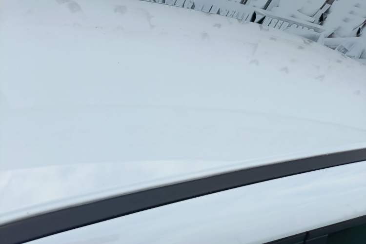 Used ORA White Cat 2020 360 km Luxury Version