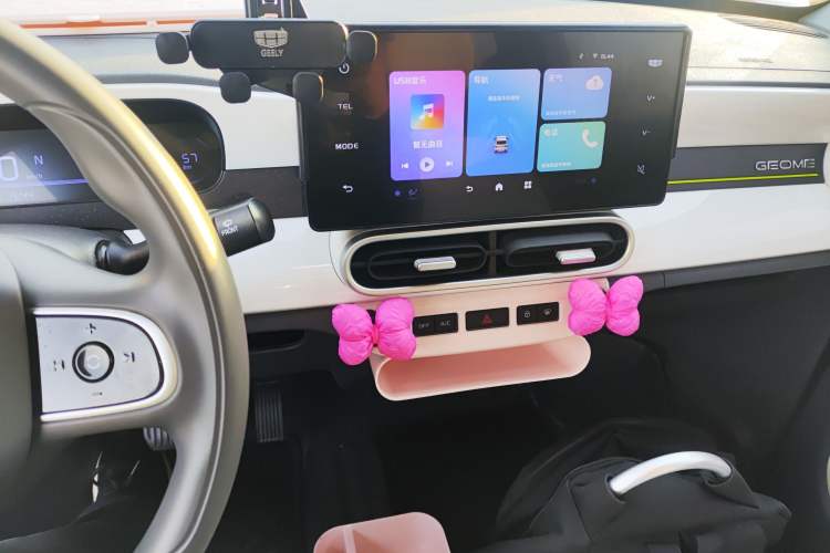 Used  Panda 2025 210 km – Yuanqi Bear