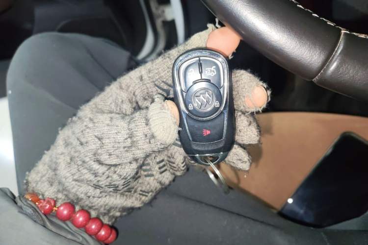 Used Buick Regal 2017 20T Elite Edition
