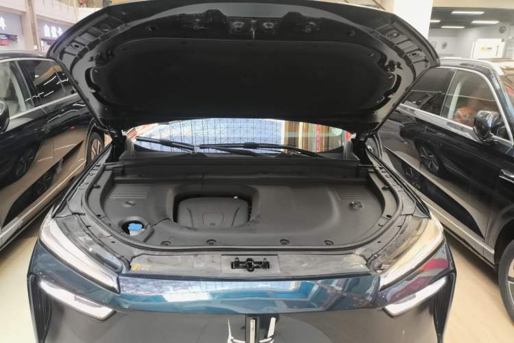 Used Wey Lanshan 2025 Four-Wheel Drive Max
