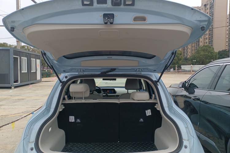 Used ORA Good Cat 2024 501 km Luxury Version