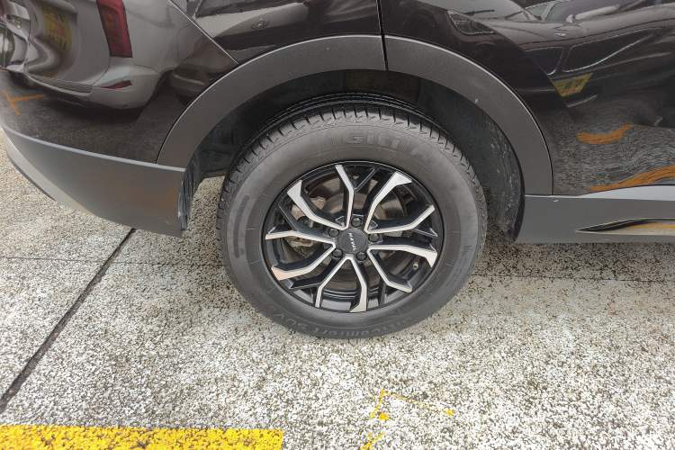 Used Haval H6 2021 National Trend Edition 1.5T Automatic Urban Version