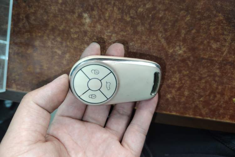 Used ORA Good Cat 2023 401 km Standard Range Premium Version Lithium Iron Phosphate
