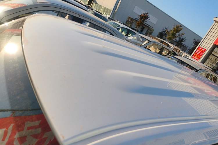 Used  Panda 2024 Panda Mini 200km Endurance Bear
