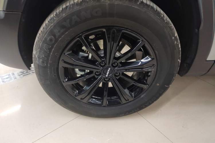 Used Haval Raptor New Energy 2024 Hi4 102 Pro
