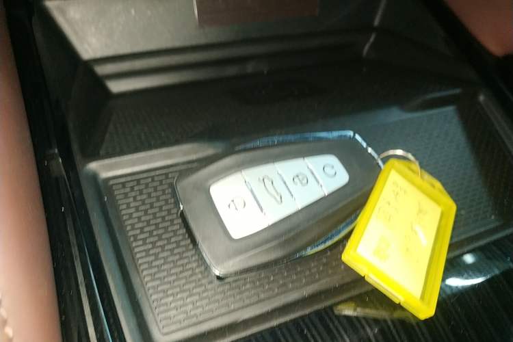 Used Geely Auto Monjaro L 2021 2.0TD High-Power Automatic All-Wheel-Drive Flagship Version
