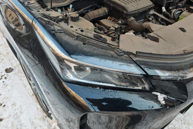 Used  E5 PLUS 2025 165 km Long-Range Version Pro 7-Seater