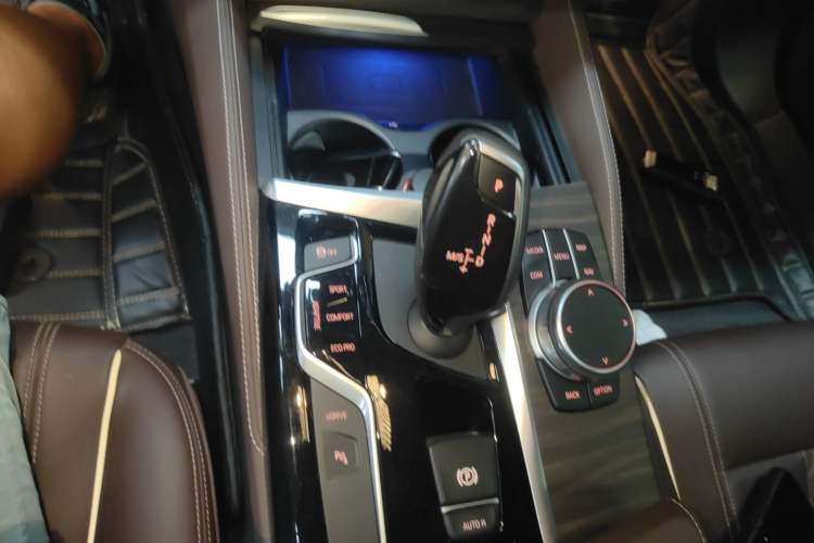 Used BMW 5 Series New Energy 2020 Mileage Upgrade Version 530Le Luxury Package
