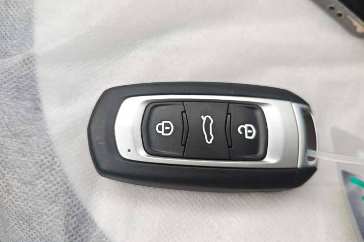 Used  Panda 2025 210 km – Yuanqi Bear