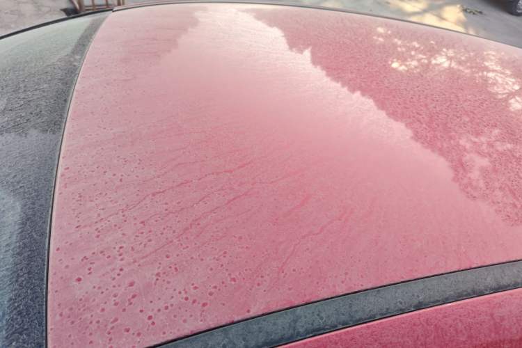 Used Ford Focus 2015 Hatchback 1.6L Automatic Comfort Model
