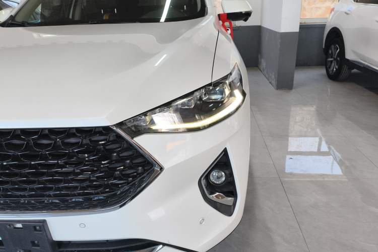 Used Haval F7x 2019 2.0T Two-Wheel Drive Intelligent Technology Edition