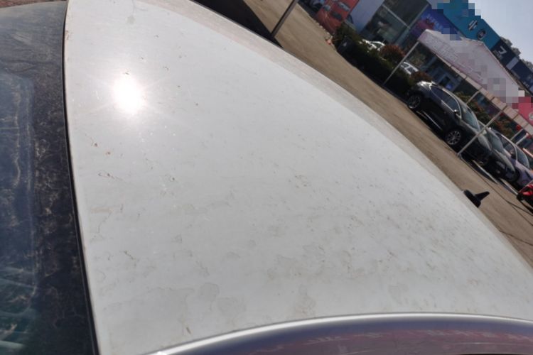 Used Volkswagen Bora 2024 200TSI DSG Comfort Edition