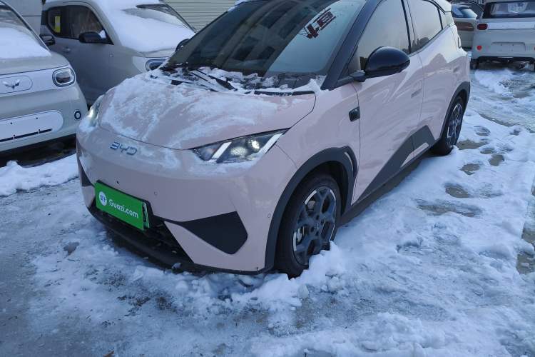 Used BYD Seagull 2025 Smart Drive Version 305 km Freedom Edition