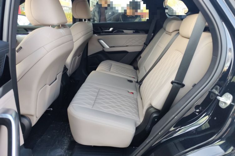 Used BYD Tang New Energy 2025 DM-i 115KM Prestige Model
