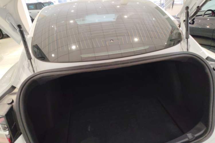 Used Tesla Model 3 2019 Long-Range All-Wheel-Drive Version
