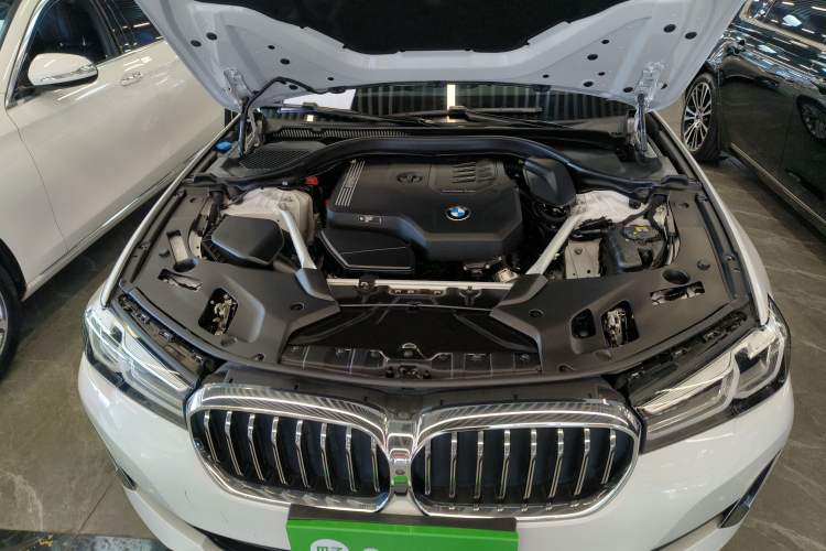 Used BMW 5 Series 2021 525Li Luxury Package