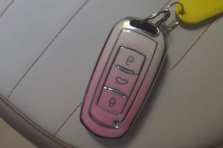 Used  Panda 2024 Panda Mini 200km Endurance Bear
