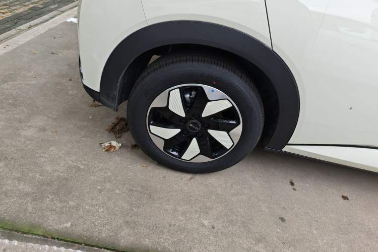 Used BYD Dolphin 2025 420km Free Edition