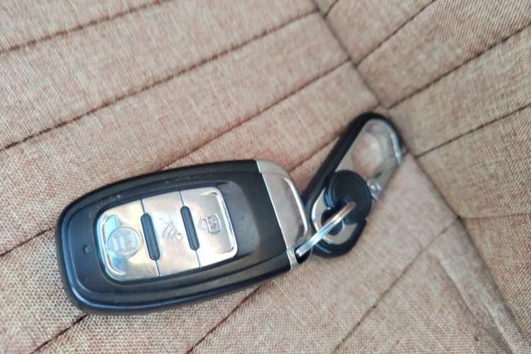 Used ORA Black Cat 2019 310km Fun Edition